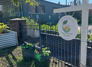 St Johns Community Garden